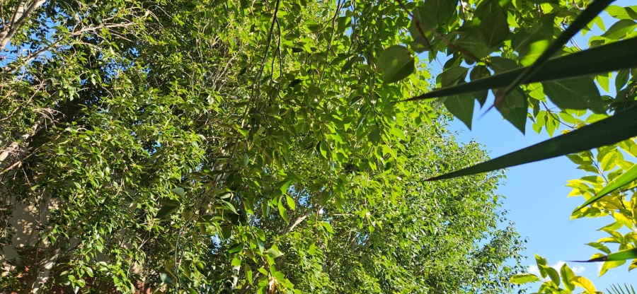 5 Bedroom Property for Sale in Langenhovenpark Free State